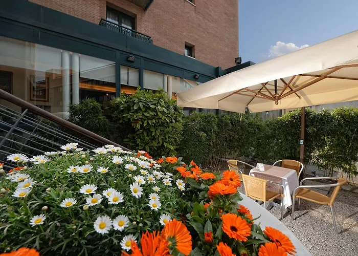 Elite & 메스트레